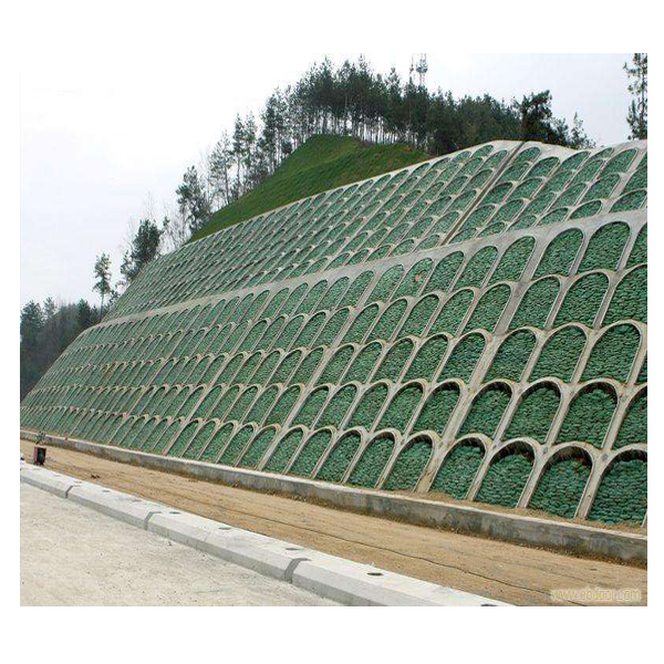 生態帶使用案例